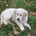 Inga Thomas - Facebook