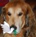 Inga Thomas - Facebook