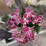 Inga  Weissmann - @ingaweissmann - Instagram