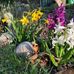 Inga Weisweber - Facebook