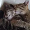Inge Eschbaum - @inge.eschbaum - TikTok