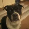 ingeInge B Baum - @ingeinge.b.baum - TikTok