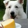 ingeberg3 - @ingeberg3 - TikTok