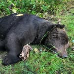 dosanko hunter - @browninger01 - Instagram