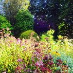 Inge Brown - @ingegerd_maria - Instagram