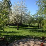 Inbu - @ingebuhrmann - Instagram