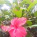 Carlot Ange - Facebook