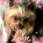 Inge Campbell - Facebook
