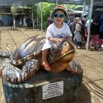 Inge chen - @inge9661 - Instagram