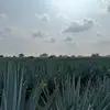 inge.chen - @inge.chen4 - TikTok