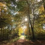 Inge Christensen - @ingechristensen49 - Instagram
