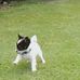 Inge Christensen - Facebook