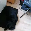Inge Christensen - @inge.christensen6 - TikTok