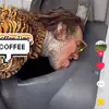 Knut-Inge - @knutingedahl - TikTok