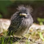Inge Ebert - @ingeebert6 - Instagram