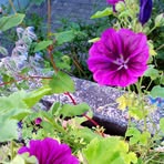 Inge Ebner - Facebook