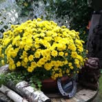 Inge Ebner - Facebook
