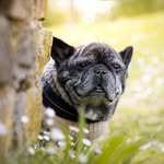 Inge Fuchs - @inge.fuchs.359 - Instagram