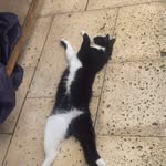 Inge Fuchs - @inge.fuchs.336 - Instagram