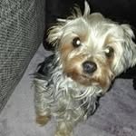 Inge Fuchs - @ingeundheinrich - Instagram