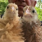 Inge gillen - @ingegillen - Instagram
