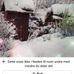 Inger Halvorsen - Facebook