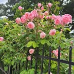 Inge Hermansen Eriksen - @ingehermanseneriksen - Instagram