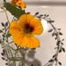 Inge Hill - Facebook