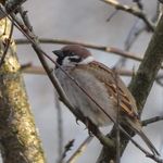 Jan Inge Jacobsen - @jac.jan - Instagram