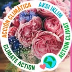 Inge Kaiser - @ingekaiser43 - Instagram