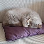 Inge Keller - @inguh1953 - Instagram