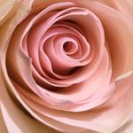Inge Keller - @kll.inge - Instagram