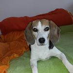 inge keller - @kelleringe211 - Instagram