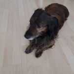 Inge Knapp - @ingeknapp1 - Instagram