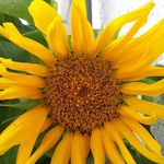 Inge Knapp - @knappinge - Instagram