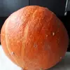 Inge Knapp - @inge.knapp - TikTok