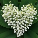 Inge Meier - @egnimei123 - Instagram