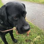 Inge Meier - @inge.meier166 - Instagram