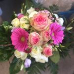 Inge Meier - @ingemeier59 - Instagram