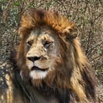 Inge Meier - @inge_meier68 - Instagram