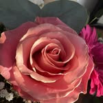 Inge Meyer - @meyer.inge62 - Instagram