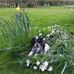 Inge Mitchell - Facebook