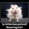 Inge - @ingemoenig - TikTok