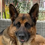Inge Naudts - @naudtsinge - Instagram