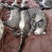 Inge Ness - Facebook