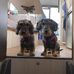 Inge Nessel - Facebook
