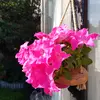 Inge - @inge402 - TikTok