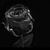 Inken Wagener - Facebook