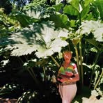 Inge Priester - Facebook