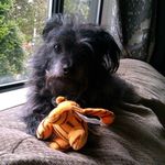 Inge - @ingereich53 - Instagram